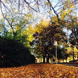 Meet your Posher, Omair